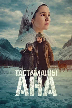 Сведения об участниках