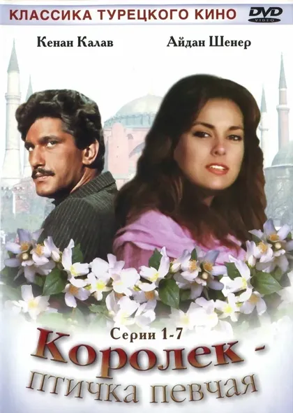 Кенан Калав