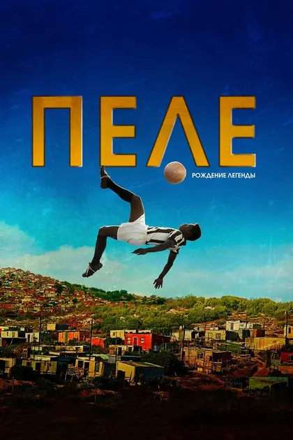 Сет Майклс
