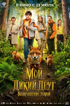 Сведения об участниках